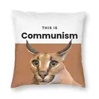 Прием коммунизма Floppa симпатичный мем квадратная Подушка Чехол для дома декоративный чехол для гостиной с рисунком
