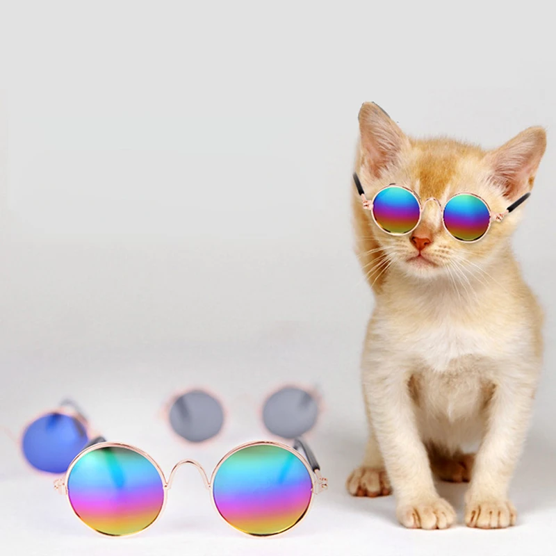 Маленькая собака милая одежда для глаз кошка многоцветные очки животные в