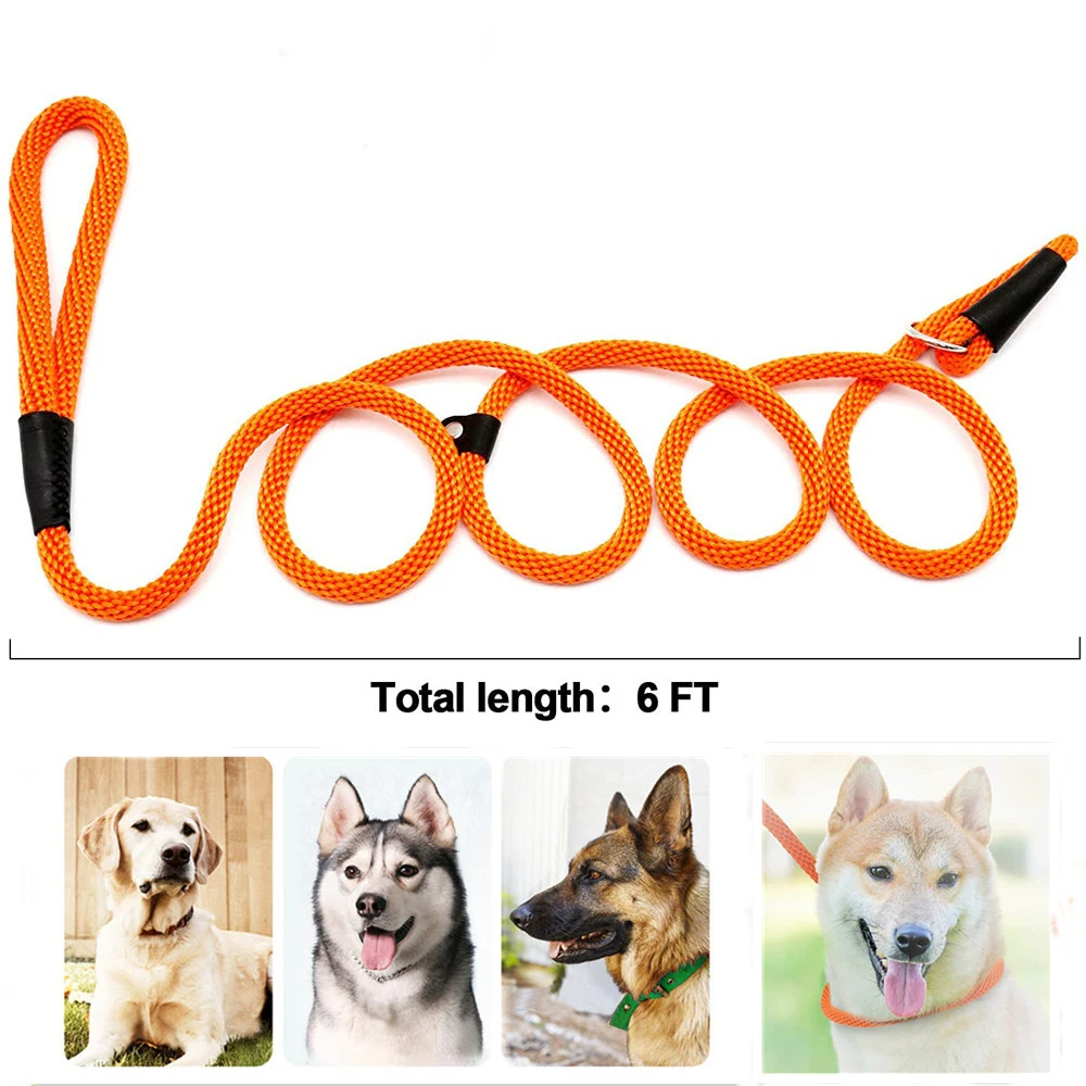 

6 FT P Chain Durable Nylon Slip Rope Dog Leash Collar 2 In 1 Adjustable Loop Collar Comfortable Meidum Large Pet Harness Leash