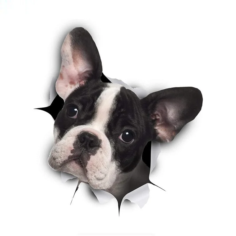 

Funny dog in the crack Vinyl Car stickers Decals Motorcycle Accessories Car-Window Decorative Goods PVC