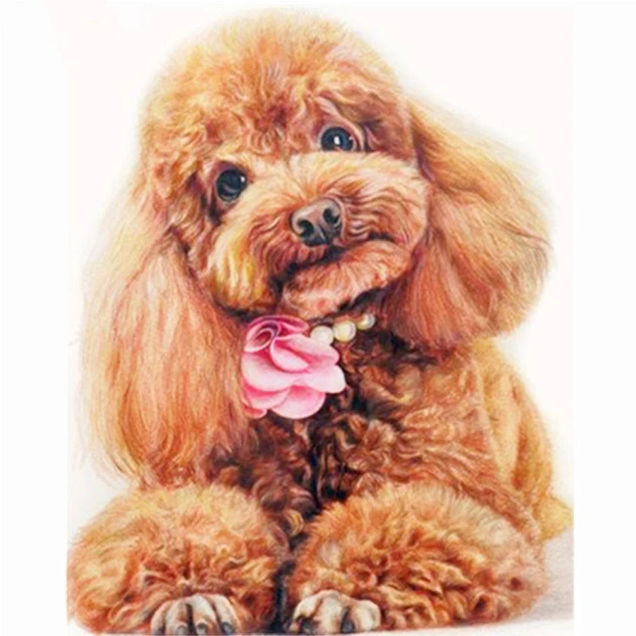 5D полная Алмазная вышивка ручной работы рукоделие животных с милым псом пуделем