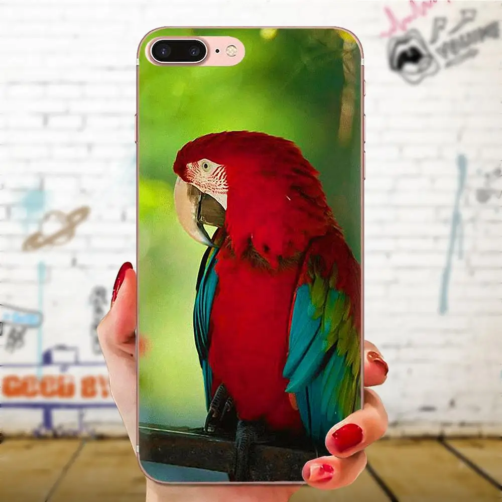 Мягкая защитная пленка из термополиуретана говорящая птица для huawei Honor mate 7 7A 8 9 10