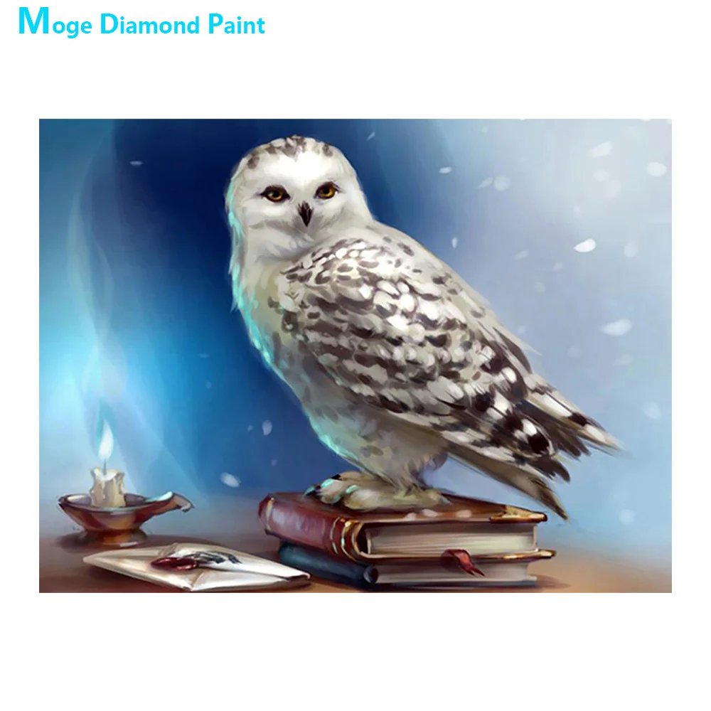Белая Сова на столе Алмазная картина животное круглая полная дрель Nouveaute DIY