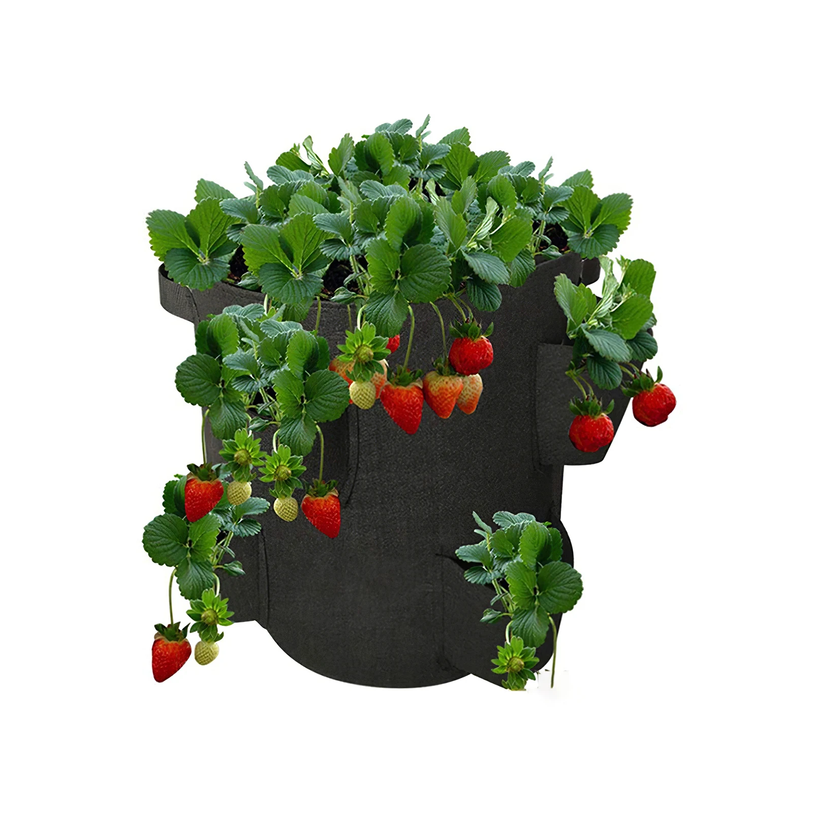 

Vegetable Planting Bag Strawberry Grow Bag Strawberry Planter with 8 Side Grow Pockets for Strawberries Herbs Flowers