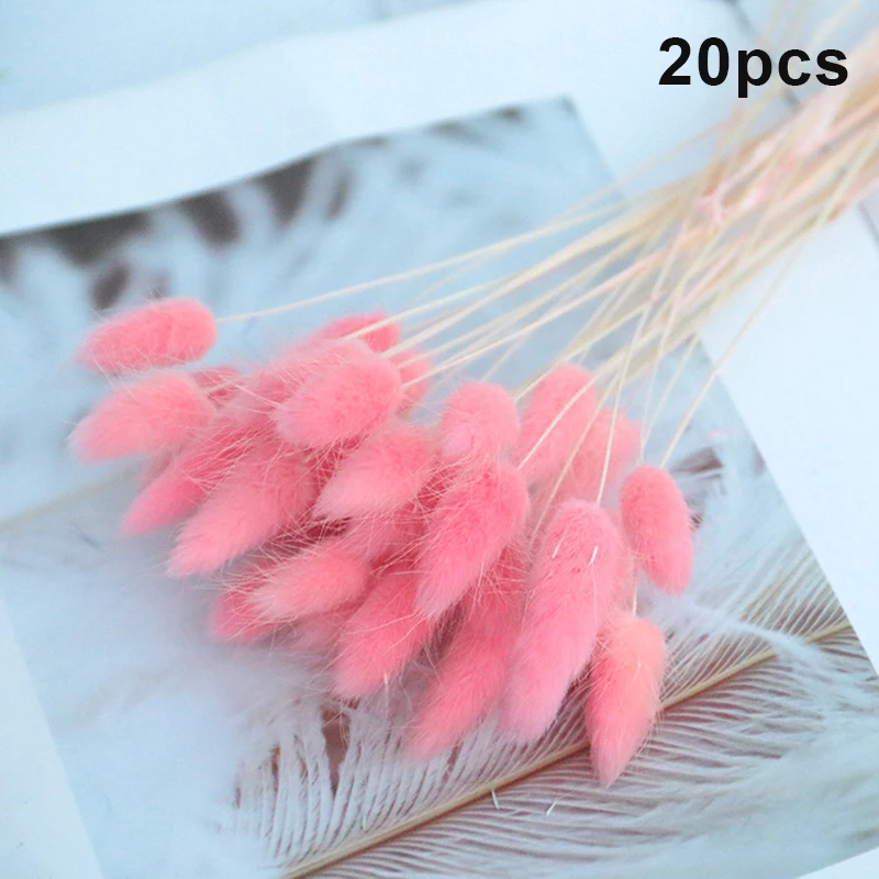 

20Pcs Rabbit Tail Grass Natural Dried Flowers For Home Decoration Flower Arrangement Long Bunches Bouquet Props HR