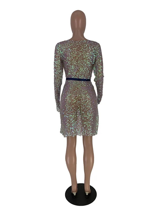 2019 Новинка сезон осень-зима женские платья длинный рукав Круглая горловина