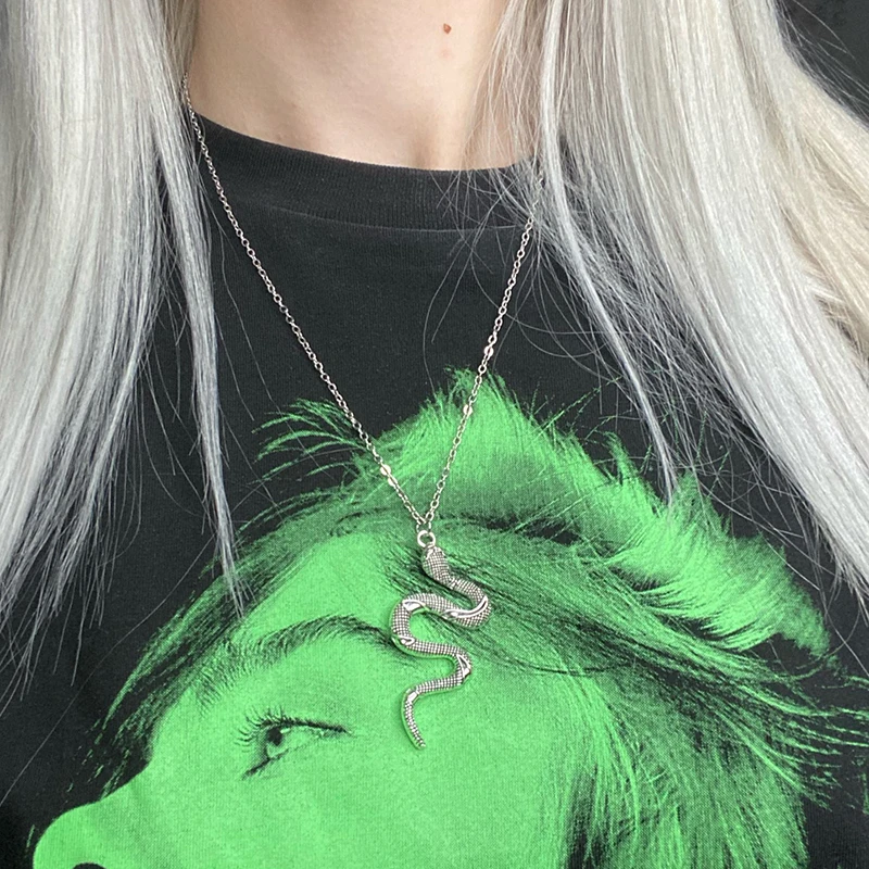 

Stainless Steel Snake Necklace For Women Animal Dangle Pendant Necklace Minimalist Style Fashion Female Animal Jewelry Gift