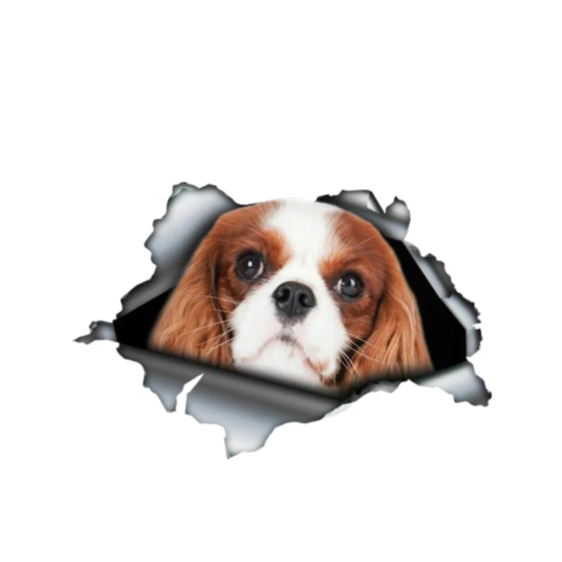 

Red Cavalier King Charles Pet Car Stickers Personalized Decal Truck Motorcycle Auto Accessories Decoration PVC,13cm*8cm