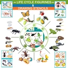 Имитация животных, Модель жизненного цикла, божья коровка, Бабочка, курица, для черепах и лягушек, муравья, фигурка и трафарет, развивающие игрушки для рисования