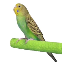 parrot toys cage bird perch parrot stand platform chew toy paw grinding clean bird toys for bites parakeet random color 1pc