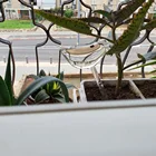 Полива цветов автоматическое устройство орошения имитация птица Форма ленивый дорожный домашний садовый Воронка-дриппер для поставки 24x9x1cm