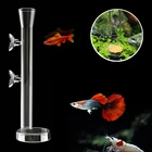 Стекло аквариумная кормушка трубка блюдо креветок рыбы Улитка погружен Еда диспенсер питательная трубка чаша аквариумных принадлежностей