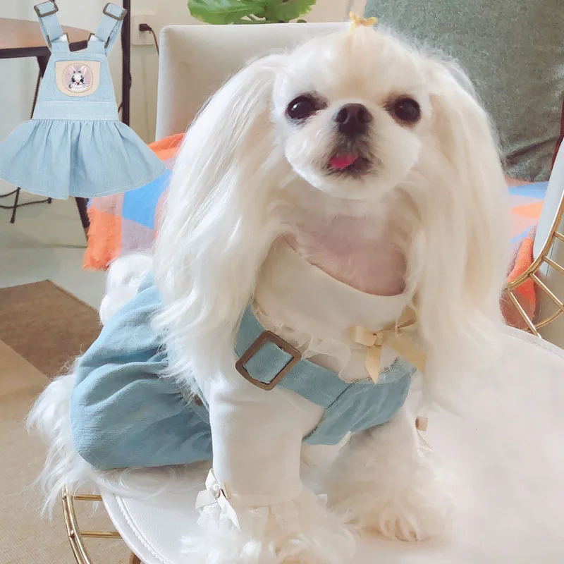 2020 модная одежда для собак платье домашних животных джинсовое пальто наряд юбка