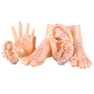 Акупунктурная модель стопы 17 см, набор акупунктурных игл для ног, акупунктурная модель стопы, модель акупунктурной точки, 2 шт.