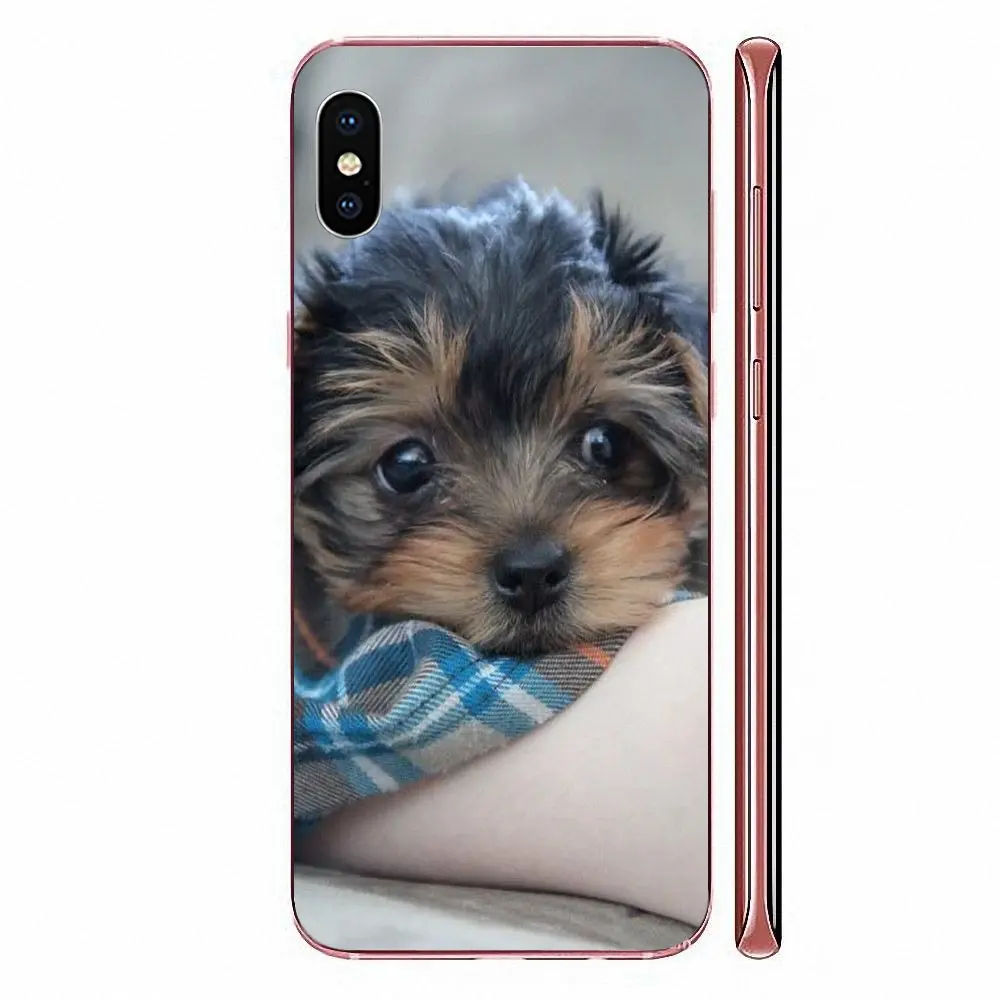 ТПУ оригинал для Huawei Mate 9 10 20 P P8 P9 P10 P20 P30 P40 Lite Pro Smart 2017 йоркширский терьер собака