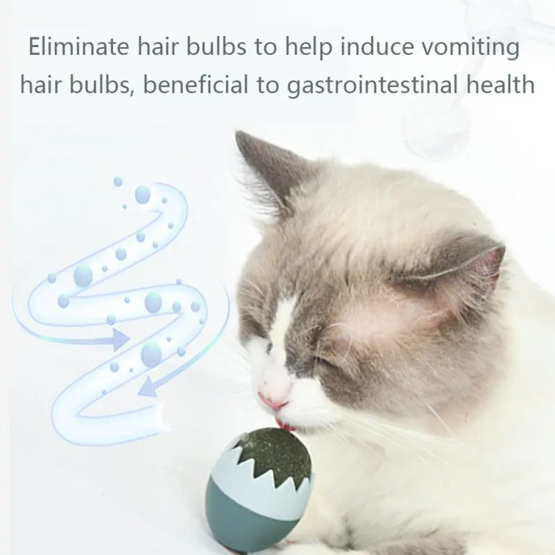 Пасхальное яйцо мята для кошачьей мяты|Игрушки кошек| |