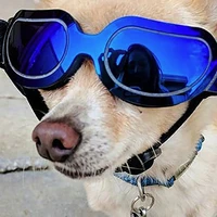 korean dog dazzle colour glasses sunglasses kitty sunglasses pet accessories