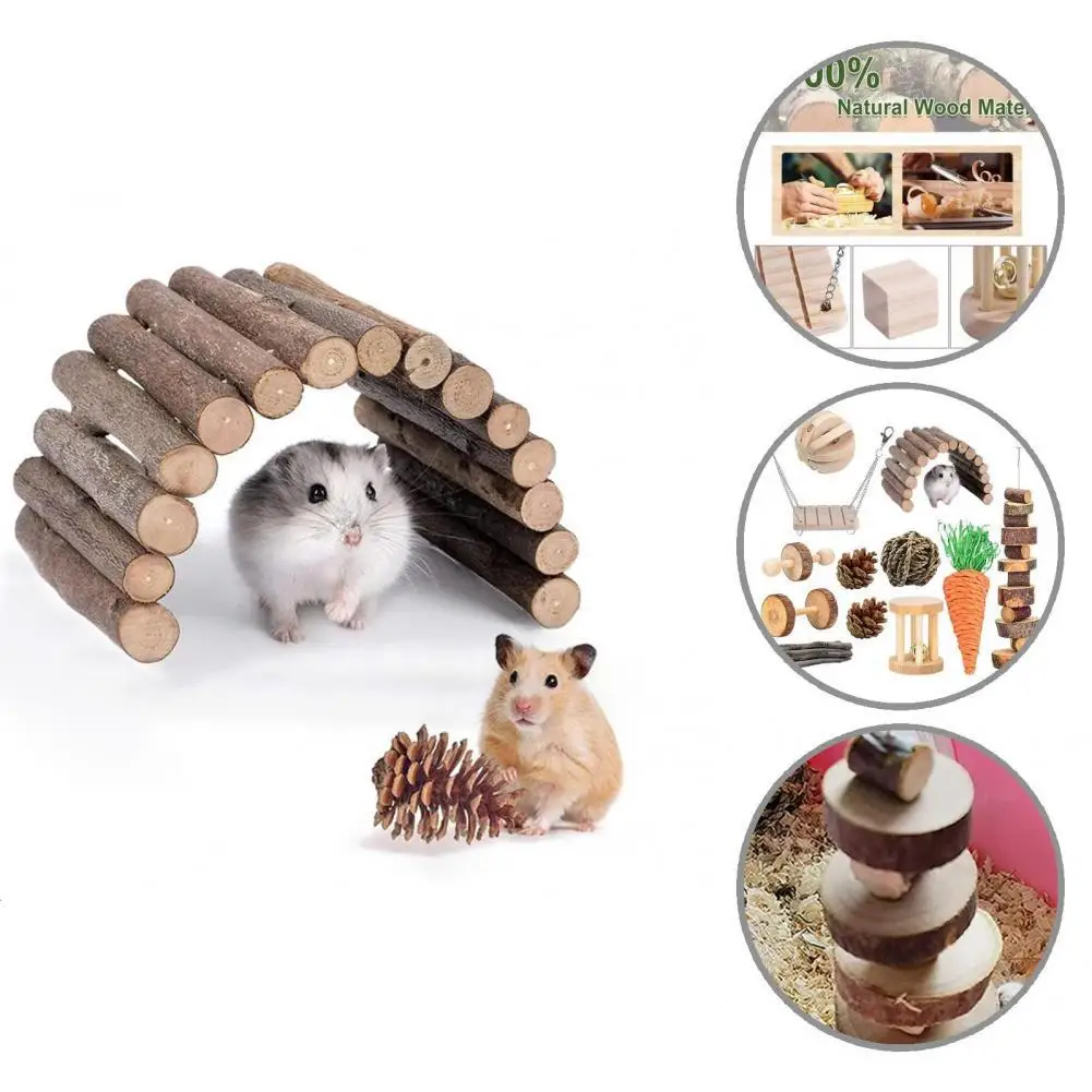 

Relieve Anxiety Wood Molar Skewers Carrots Molar Toy Set for Squirrels