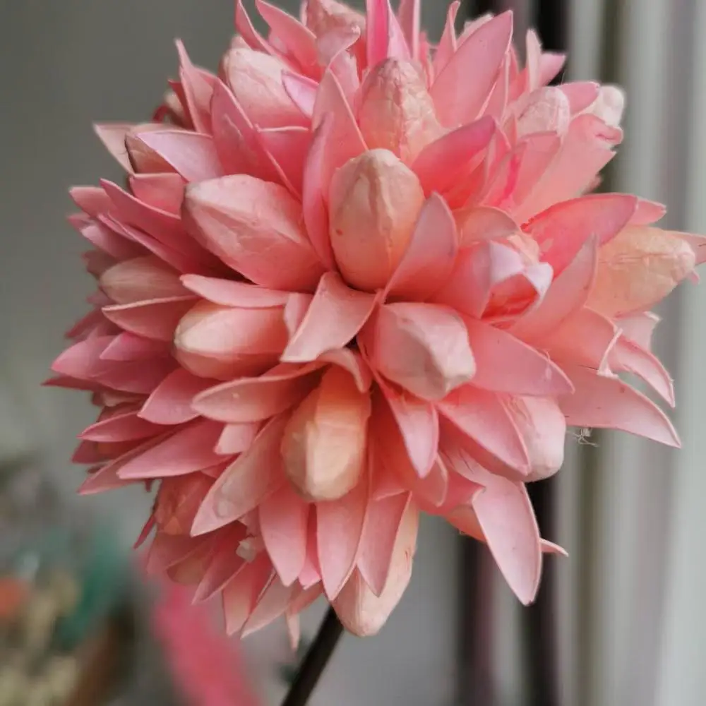 4 шт. высушенные ветви растений искусственные натуральные растения цветок для