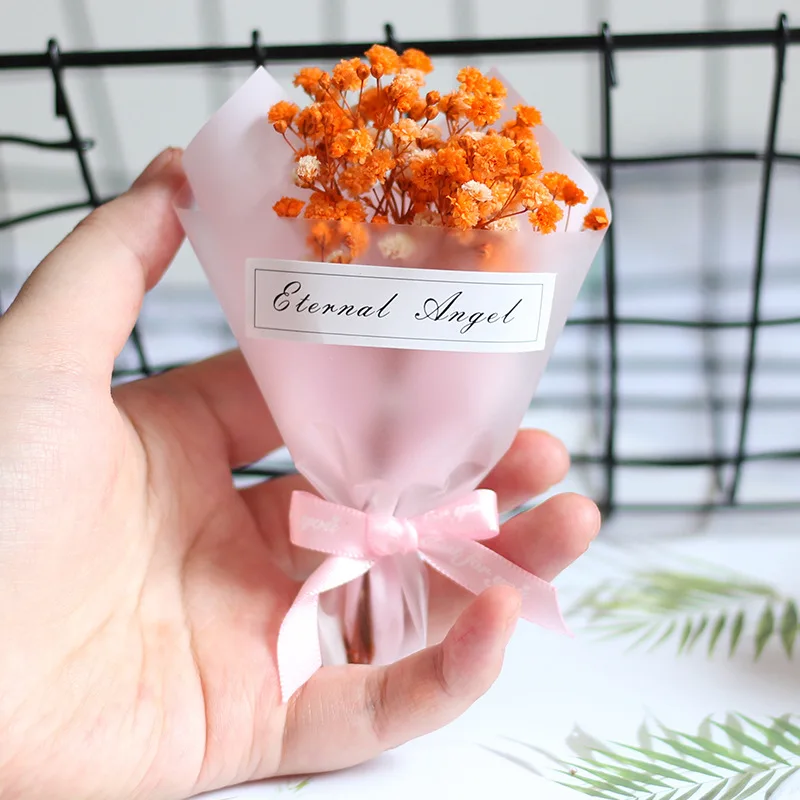 Хит дешево 3 шт./партия мини упаковка небесная звезда цветок натуральный сухой