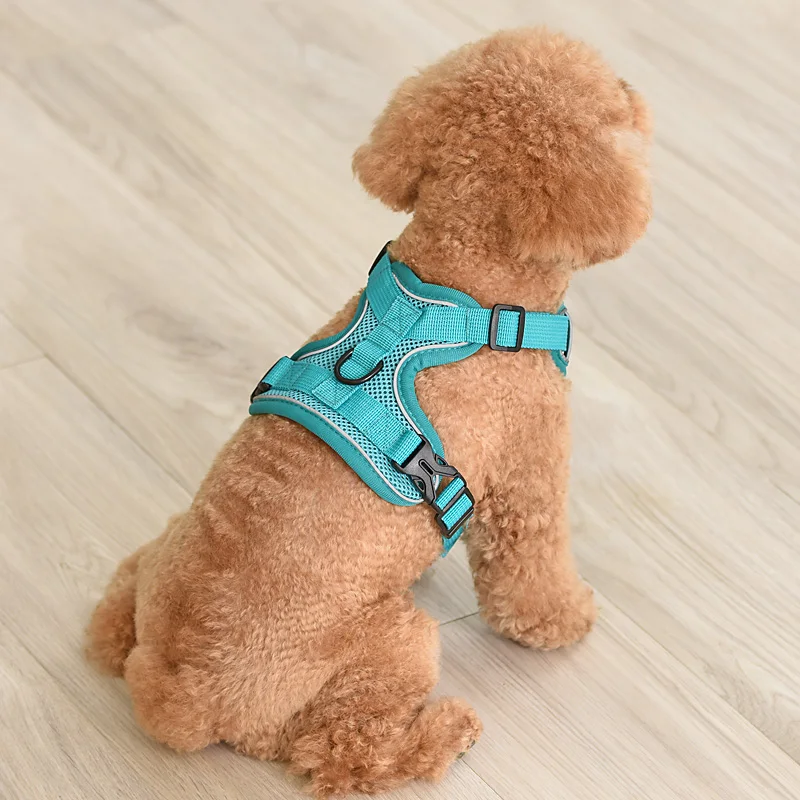 Шлейка с поводком для собак регулируемая дышащая мягкая | Дом и сад