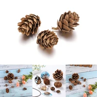 3 sizes real natural pine cones bauble silicone uv epoxy resin mold pendant necklace handmade for diy jewelry making findings