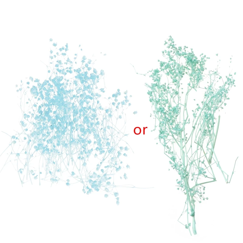 1 коробка наполнитель для цветов из эпоксидной смолы|Ювелирная фурнитура и