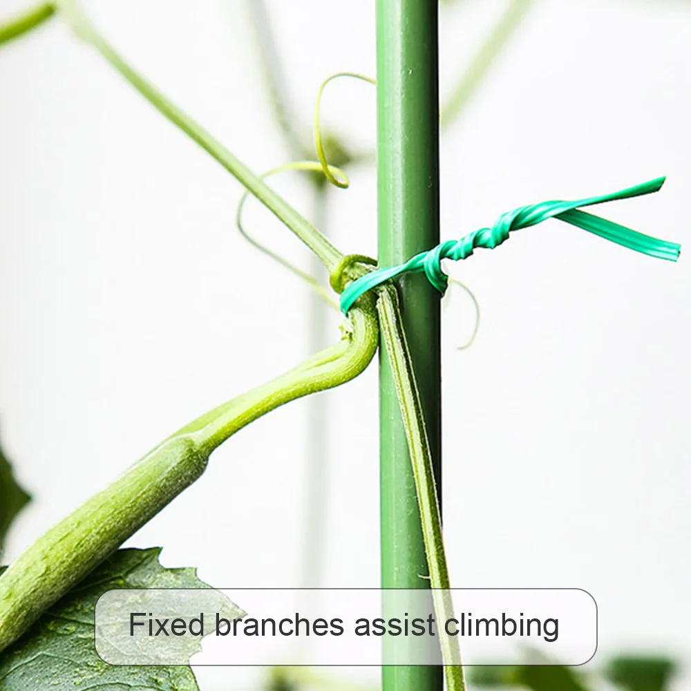 

Garden Twist Tie Reusable Green Coated String With Cutter Sturdy Plant Twist Tie Gardening Vegetable Grafting Fixer