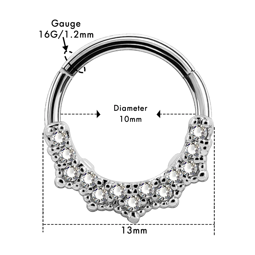 BODY PUNK 16G Cartilage Earrings Nose Septum Piercings Segment Clicker Daith Clear CZ Tragus Helix Stud Conch Body Jewelry Women