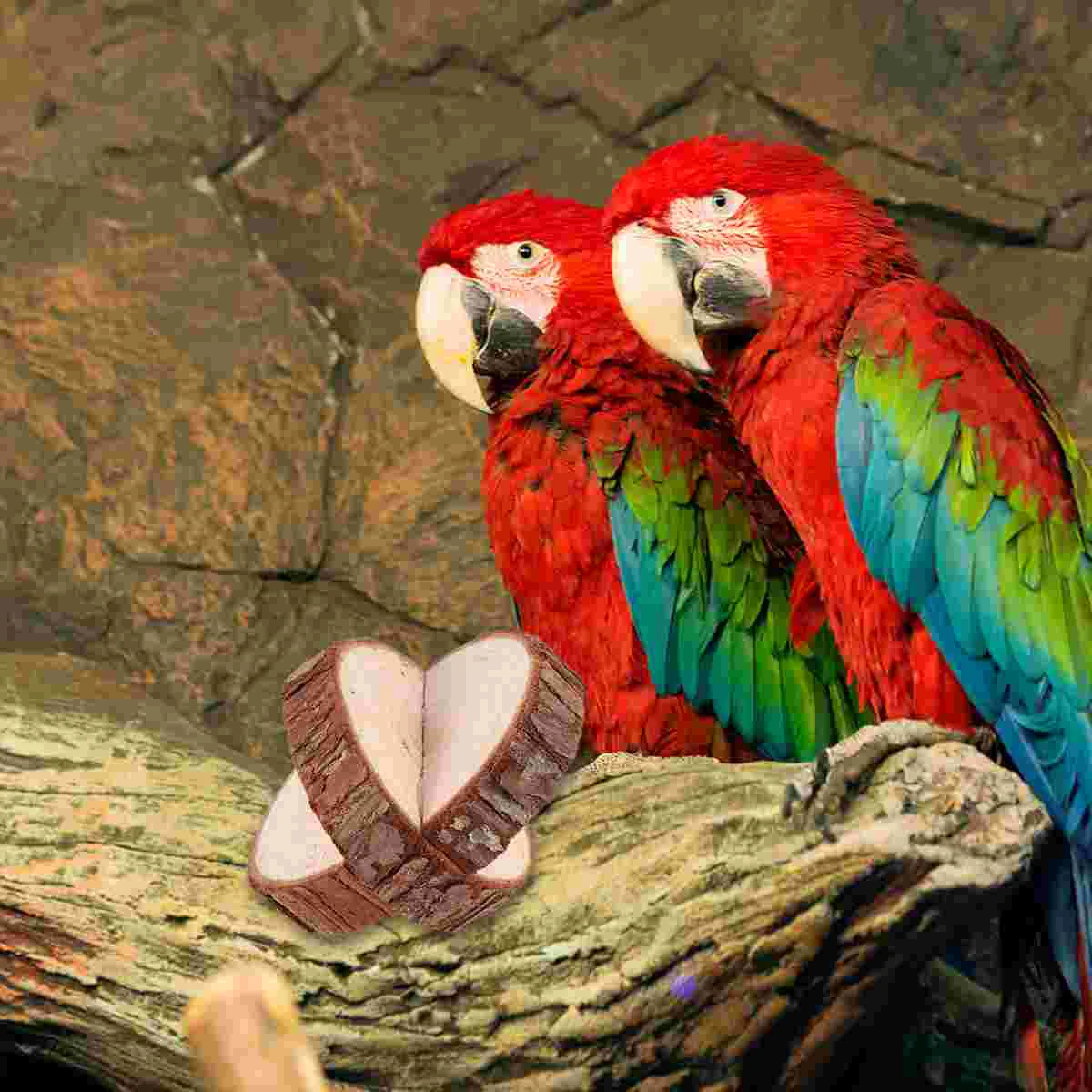 

6 шт., деревянные жевательные игрушки для домашних животных