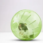 Антистрессовые мячики для домашних питомцев, мячи для упражнений, бега, мячи для маленьких домашних животных, Шиншилла, грызун, Песчанка крыса, товары для мыши