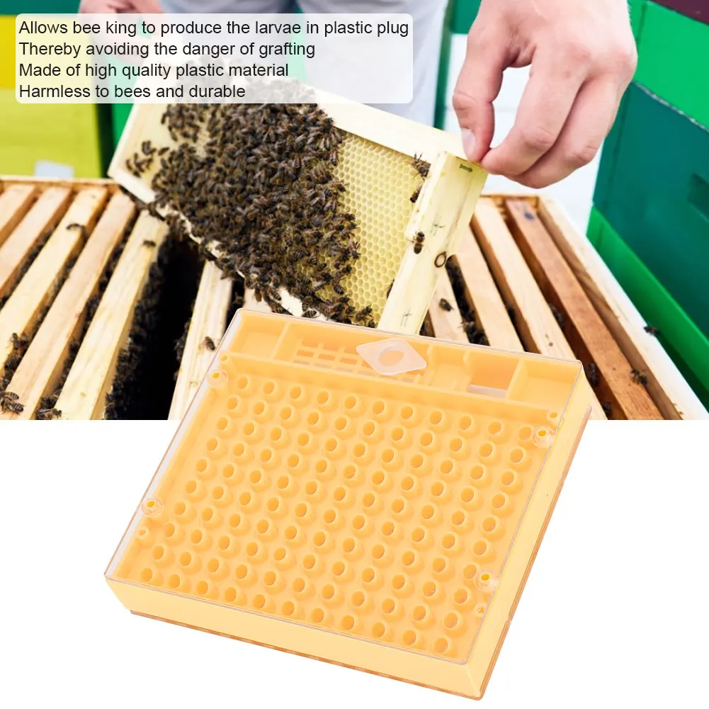 Bee King инкубатор свободно перемещать безвредные разведение коробка пчеловод
