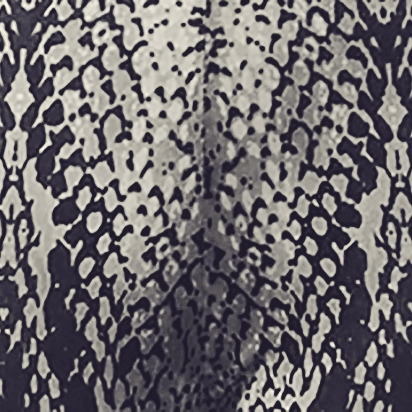 

Snakeskin Sport Tight sweatpants Printed Women Leggings High Waist Sports Leggings Women Push Up Elastic Exercise Sexy Pants Gym