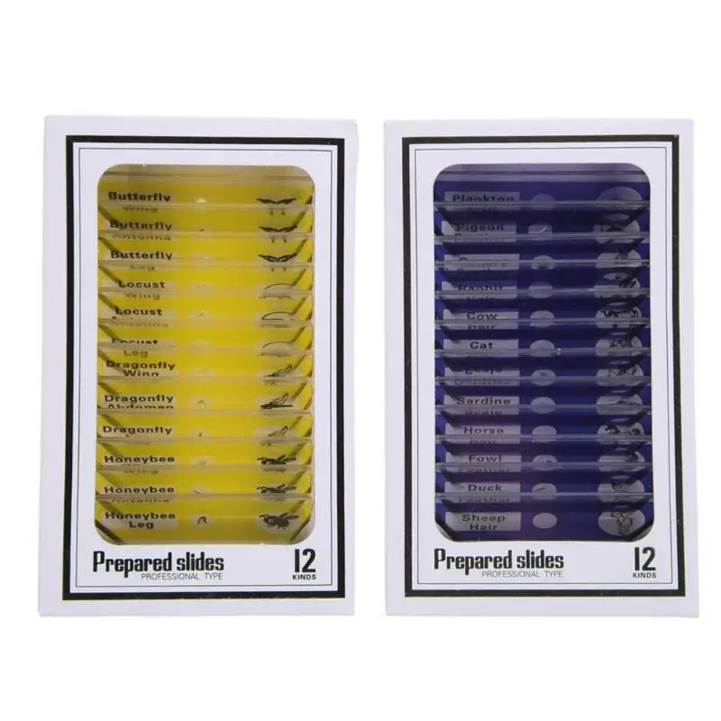 12 шт. Детские подготовленные пластмассовые слайды для микроскопа насекомые