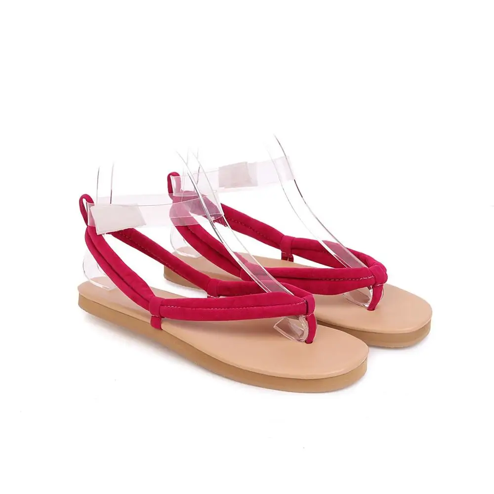 Летние сандалии женские гладиаторы с ремешком на резинке|Боссоножки и сандалии| |