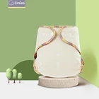 Elinfant 5 шт. кофейный флисовый многоразовый подгузник один размер Ночной AI2 моющийся подгузник из пеньковой ткани