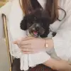 Изображение товара 1