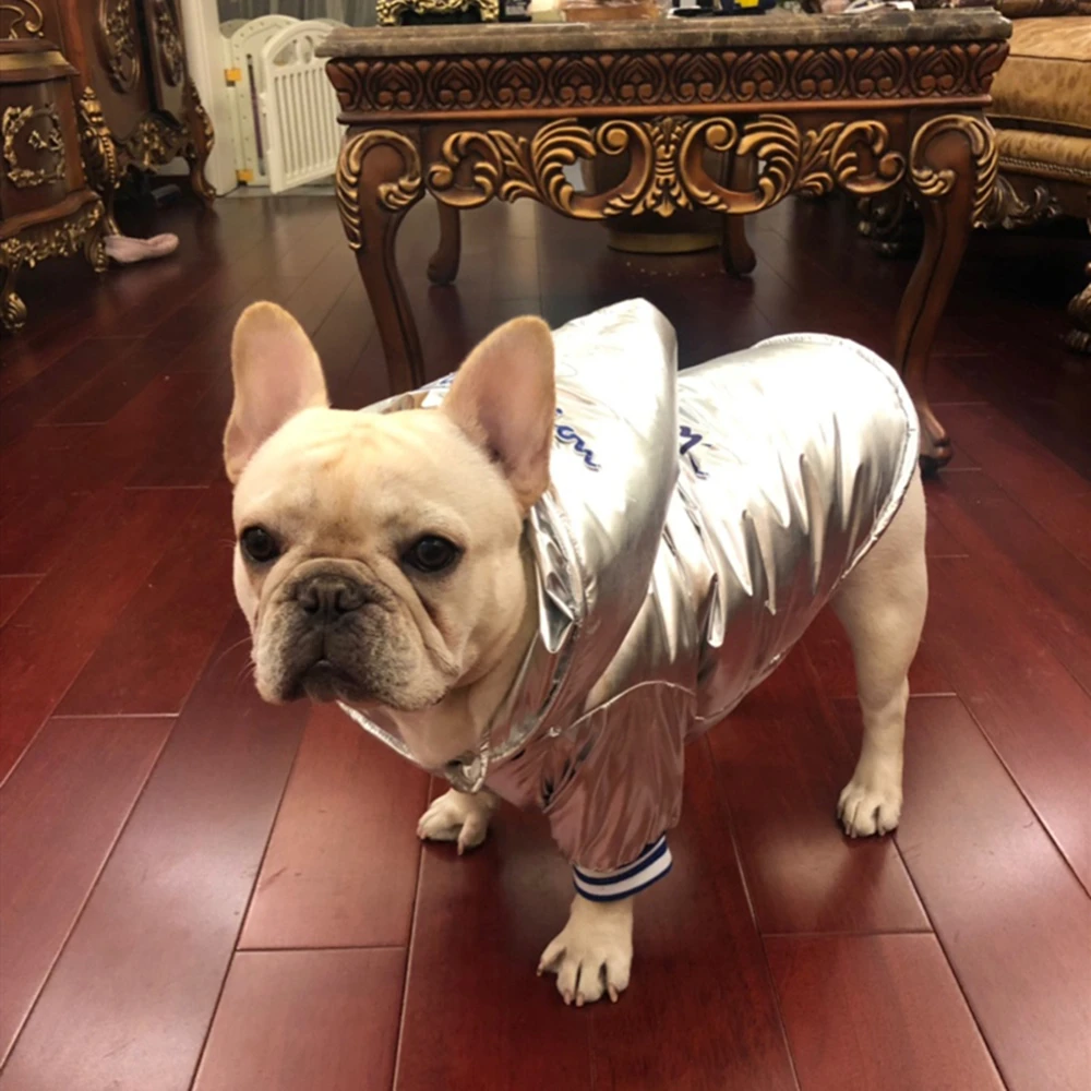 Пуховая куртка для собак серебристая хлопковая одежда взрослых французский