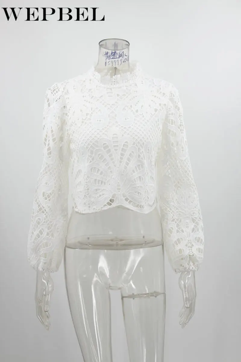 

Mandylandy Women Sexy Lace Hollow Out Shirt Top Casual Lady Loose Long Sleeve O Neck Zipper Blouse Top