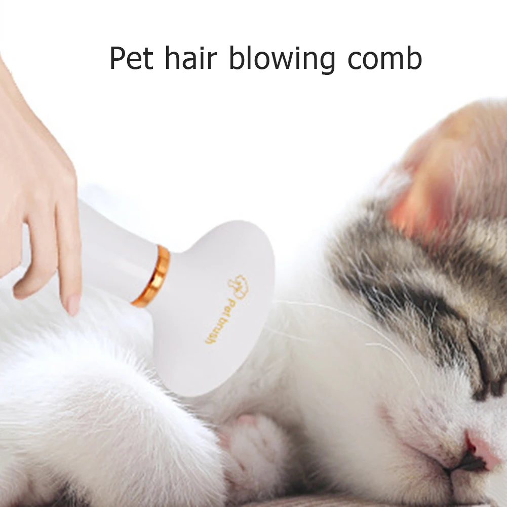

2-In-1 Portable Pet Dog Dryer Dog Hair Dryer And Comb Brush Pet Grooming Dryer Cat Hair Comb Dog Fur Blower Low Noise Temprature
