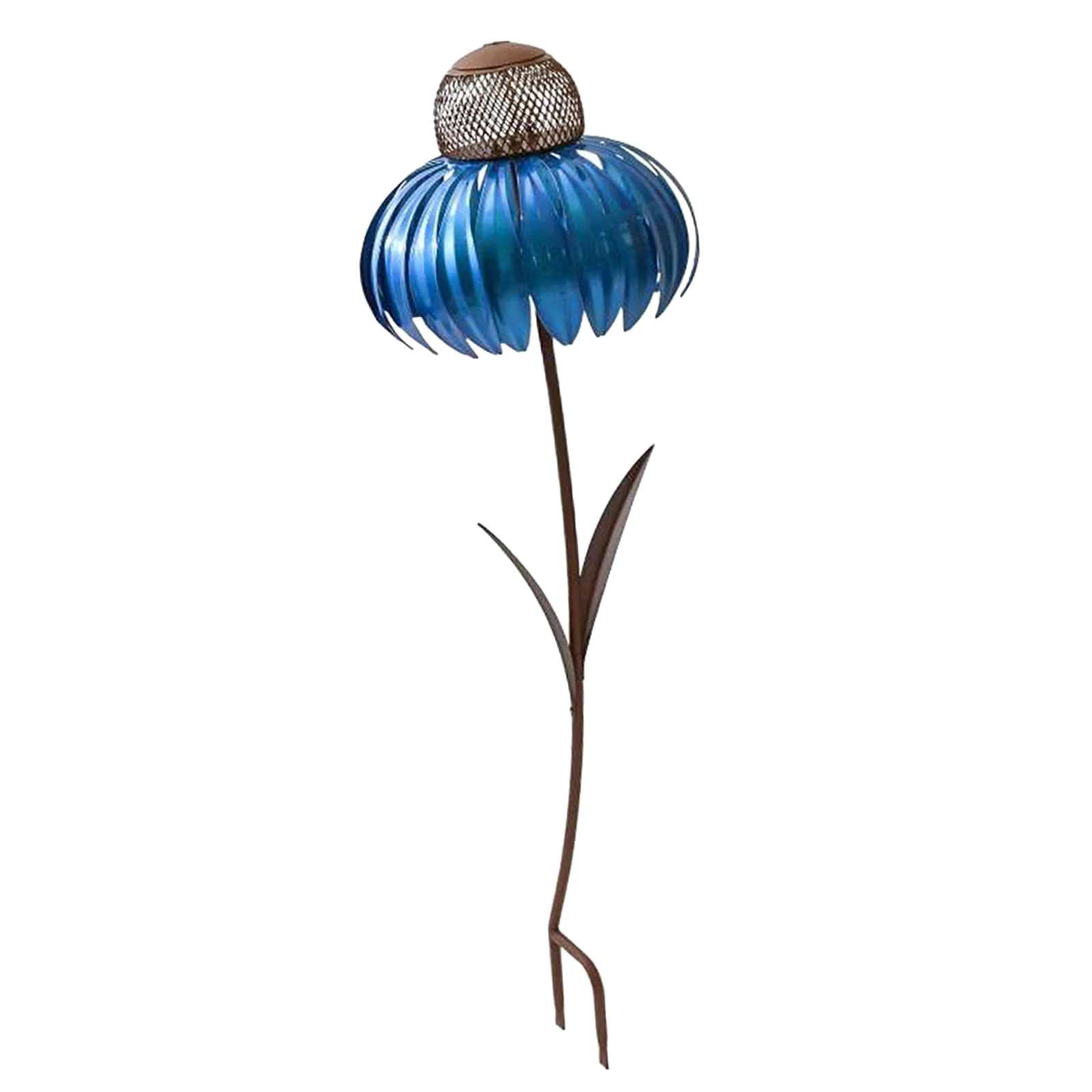 

Coneflower