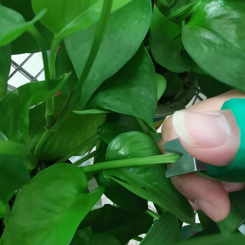 Новые садовые инструменты томат огурец обрезные кусачки для винограда сбора