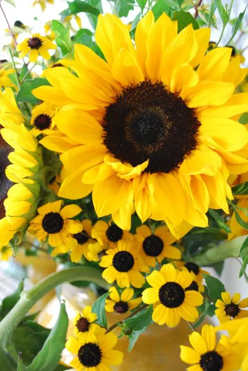 

Full circle sunflower 5D DIY diamond painting mosaic painting diamond embroidery home decoration gift