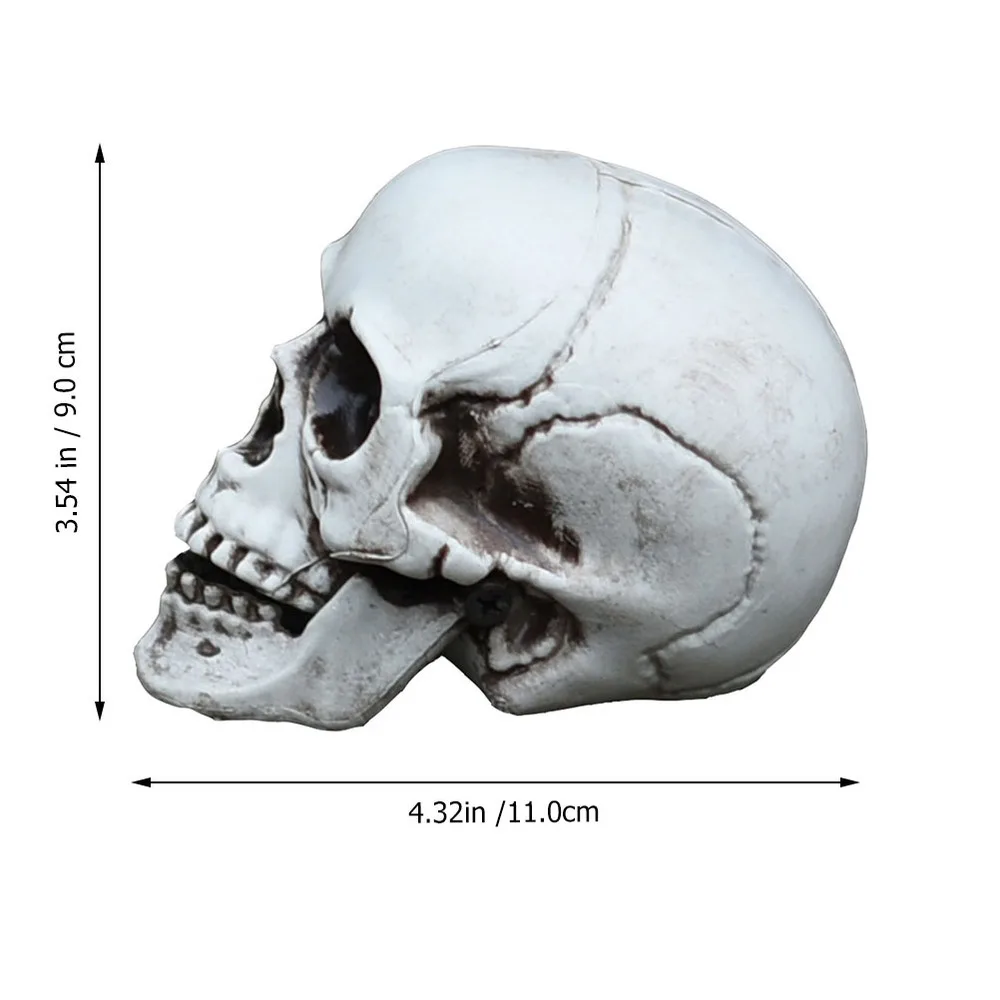 

1Pc Skull Prop Plastic Simulation Skeleton Decor Party Tricky Toy