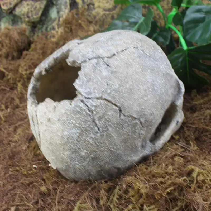 Украшение для аквариума Ландшафтная статуя черепа из кости подарки смолы