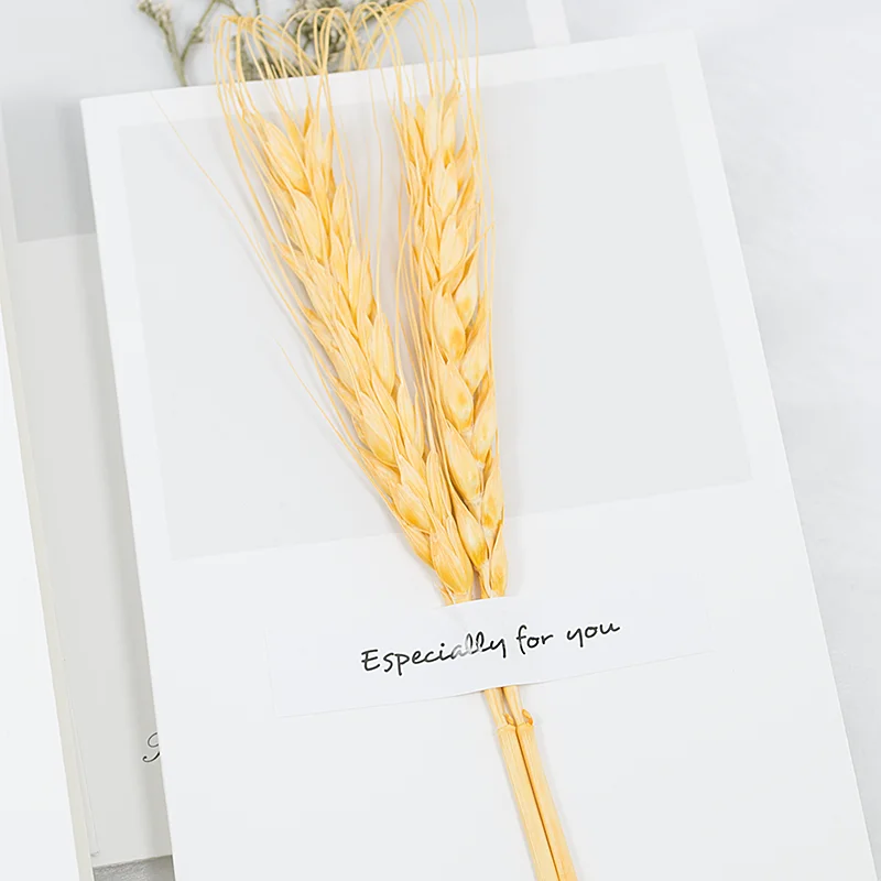 Сушеные цветы сезонные поздравительные открытки складные бумажные на Рождество