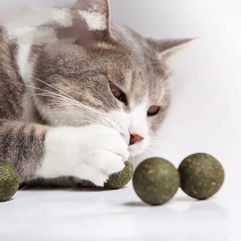 10 шт. кошка натуральная кошачья мята обработать мяч за деятельность корм для