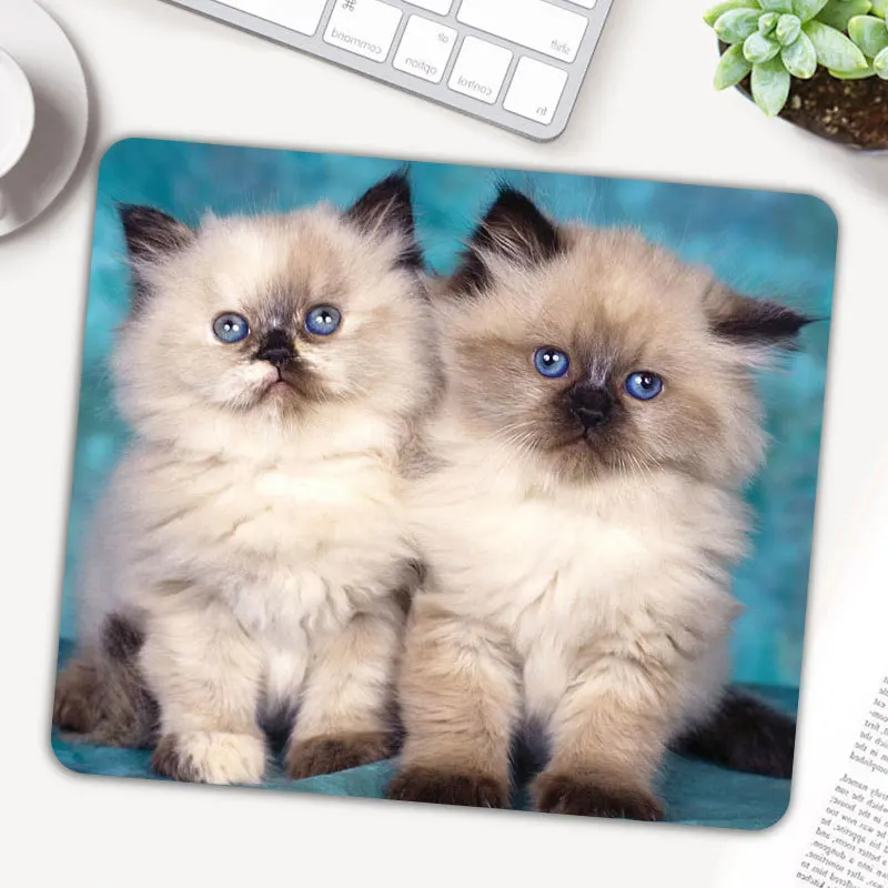 Популярные животного Кот компьютерная игра планшет коврик для мышки