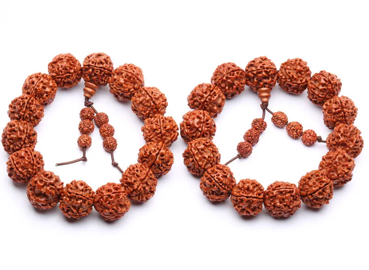 Семена рудракша 18 мм с пятью лепестками бусины для учеников Тибетский буддизм