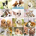 MomoArt Алмазная вышивка собака 5D DIY Алмазная мозаика животное картины стразами полная выкладка подарок ручной работы Украшение дома